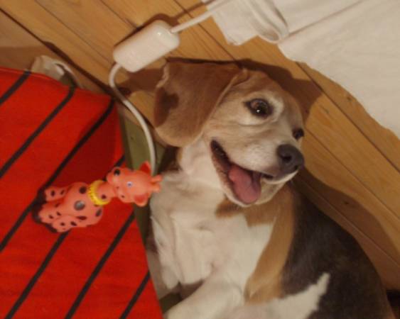 kliknutím zavřete okno