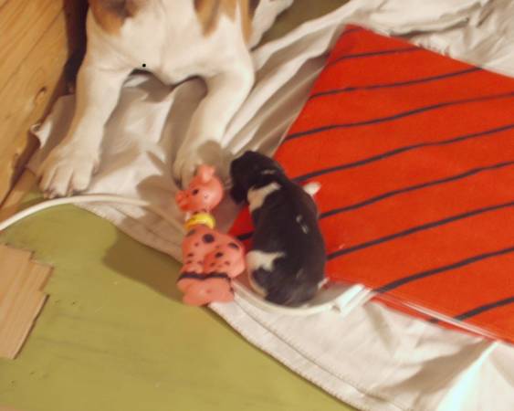 kliknutím zavřete okno