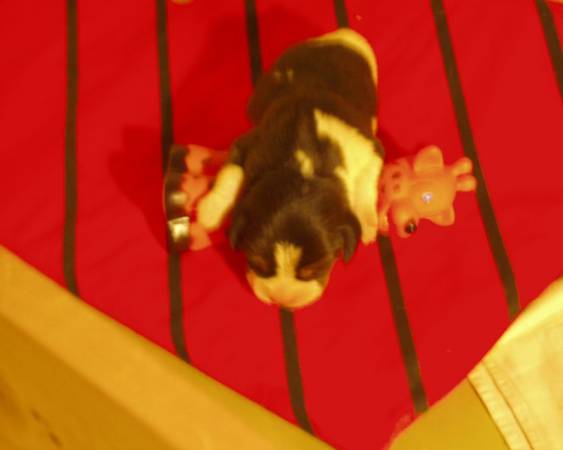 kliknutím zavřete okno