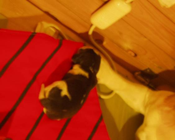 konecne chvili spinkam