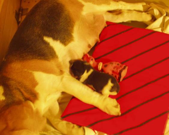 kliknutím zavřete okno