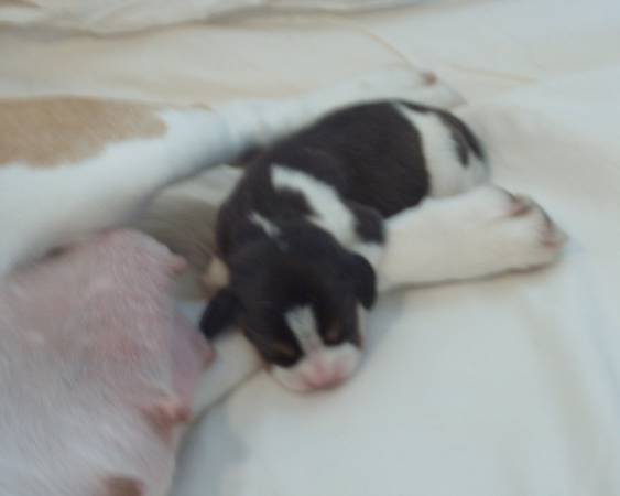 kliknutím zavřete okno