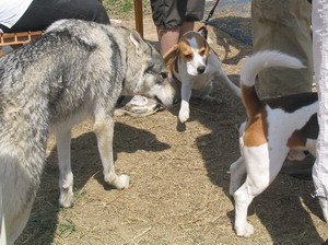 tak už mě přeci pusťte