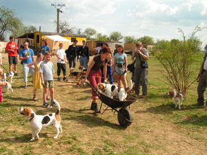 kliknutím zavřete okno