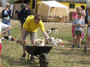 kliknutím zavřete okno