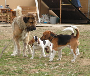 kliknutím zavřete okno