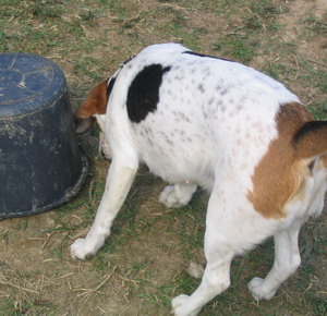 kliknutím zavřete okno