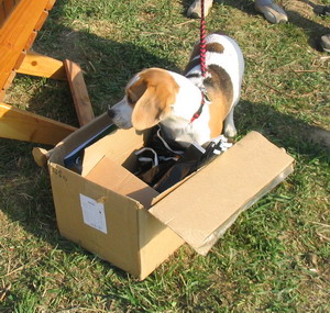 kliknutím zavřete okno