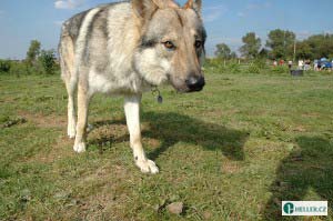 kliknutím zavřete okno