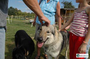 kliknutím zavřete okno