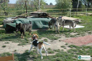 kliknutím zavřete okno