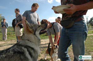 kliknutím zavřete okno