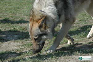 kliknutím zavřete okno