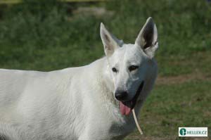 kliknutím zavřete okno