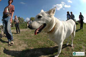 kliknutím zavřete okno