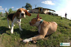 kliknutím zavřete okno
