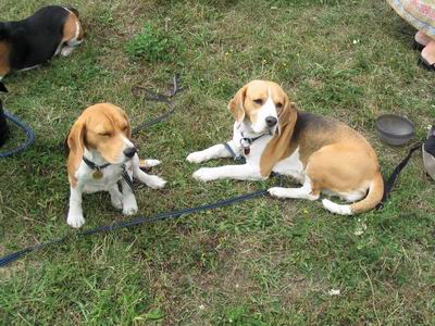 kliknutím zavřete okno