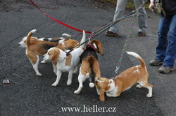 kliknutím zavřete okno