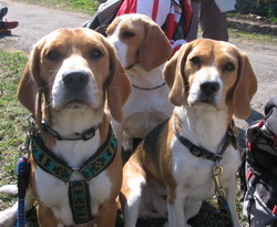 kliknutím zavřete okno