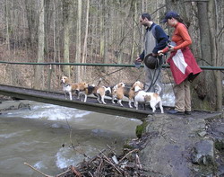kliknutím zavřete okno