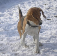 kliknutím zavřete okno