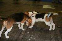 kliknutím zavřete okno