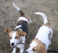 kliknutím zavřete okno