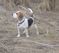 kliknutím zavřete okno