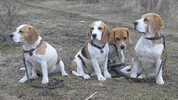 kliknutím zavřete okno