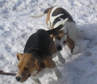 kliknutím zavřete okno