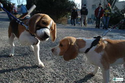 kliknutím zavřete okno