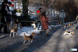 kliknutím zavřete okno