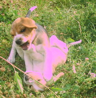 kliknutím zavřete okno