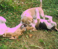 kliknutím zavřete okno