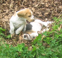 kliknutím zavřete okno