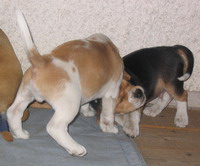 kliknutím zavřete okno