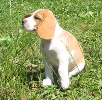 kliknutím zavřete okno