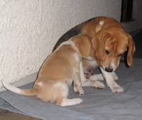 kliknutím zavřete okno