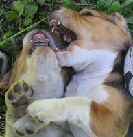 kliknutím zavřete okno