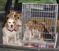 kliknutím zavřete okno