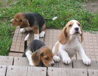 kliknutím zavřete okno