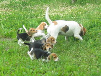 kliknutím zavřete okno