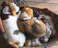 kliknutím zavřete okno