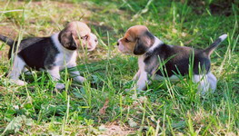 kliknutím zavřete okno