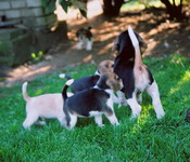 kliknutím zavřete okno