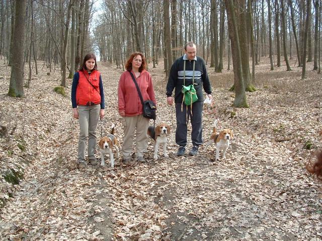 kliknutím zavřete okno