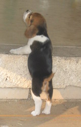 kliknutím zavřete okno