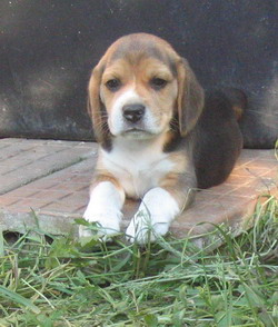 kliknutím zavřete okno