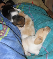 kliknutím zavřete okno