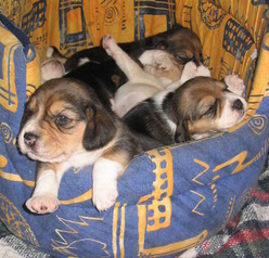 kliknutím zavřete okno